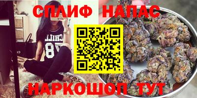 ГАЛЛЮЦИНОГЕННЫЕ ГРИБЫ Будённовск